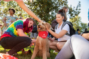 Girls pet a dog a doggies on the dell