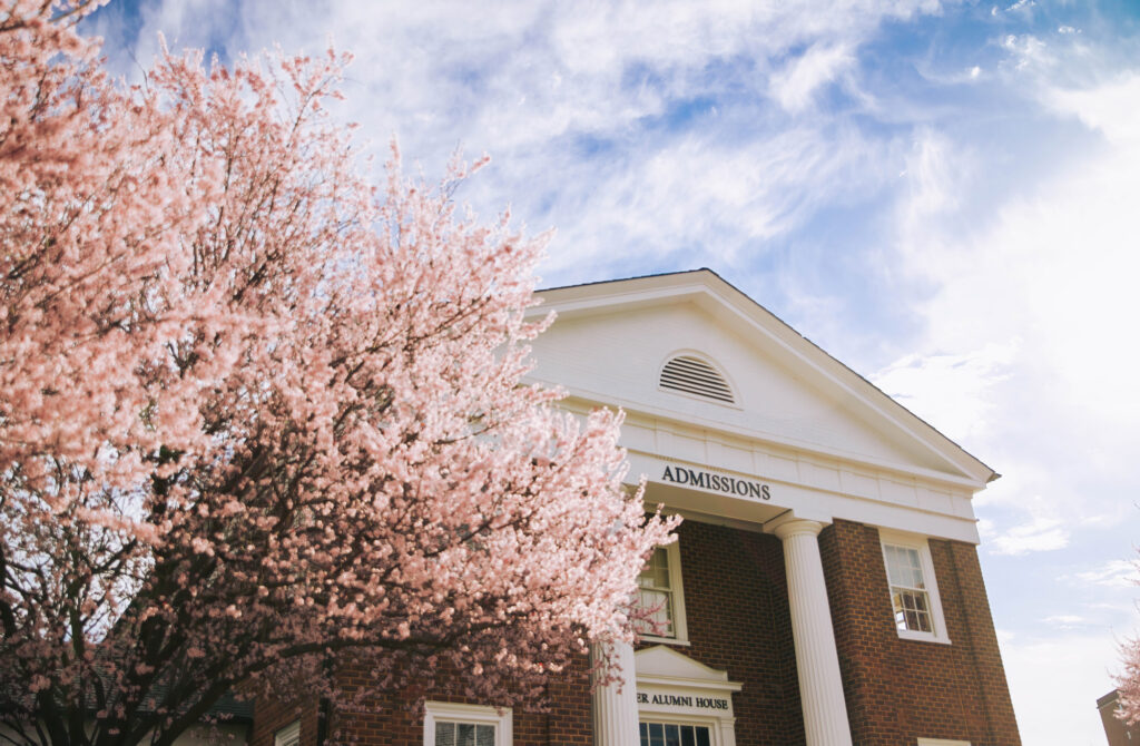 Flowering tree in front of Walker Alumni House